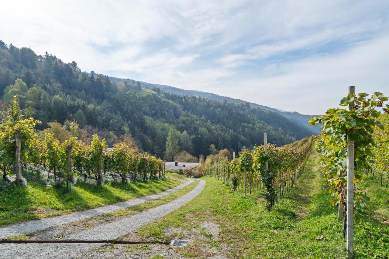 Villa Vogelnest Brixen Buitenkant foto